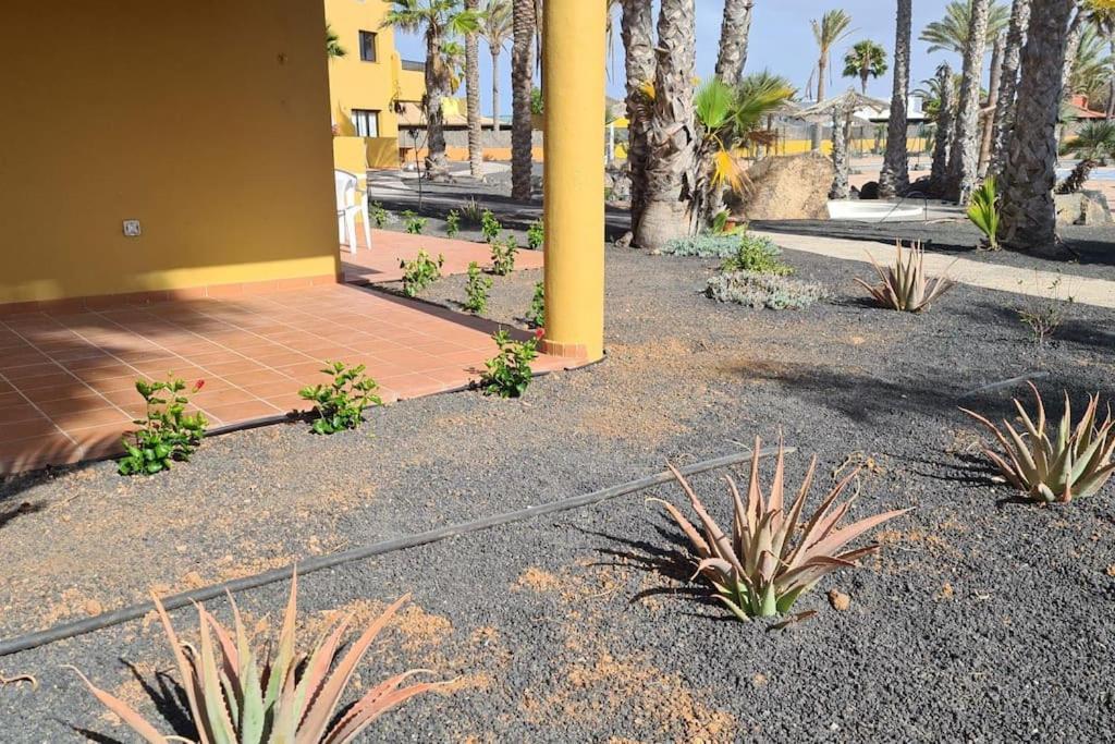 Beautiful Garden Flat Nearly Refurbished Free Wifi Apartment คอร์ราเลโฮ ภายนอก รูปภาพ